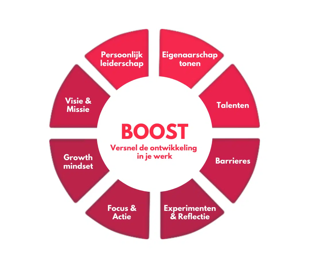 Boost Back Programme BOOST – BBB